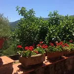 Casa Nicola, Large With Pool * 피스토이아